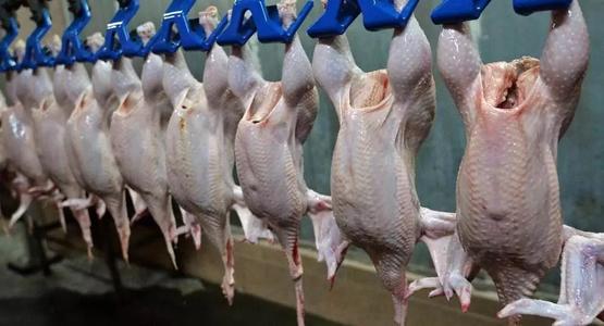 2020年世界禽肉出口前五排名變動